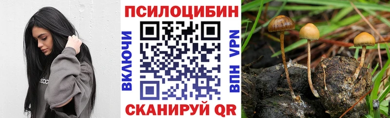 дарк нет Telegram  Ливны  Галлюциногенные грибы мухоморы 
